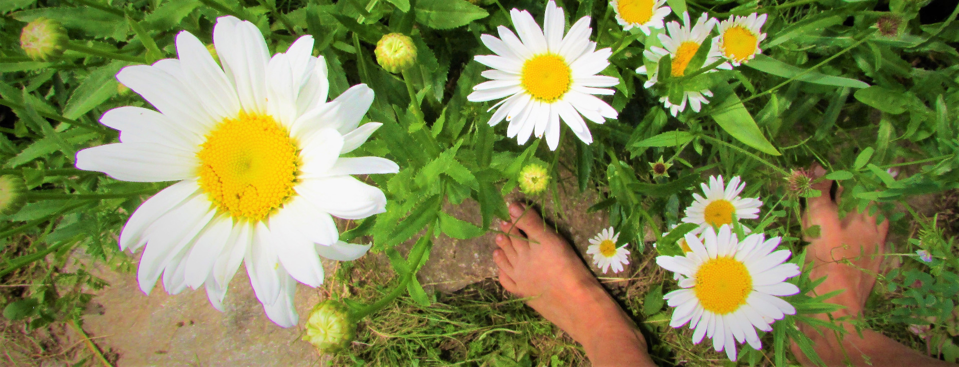 Země a Já tvoříme Jednotu